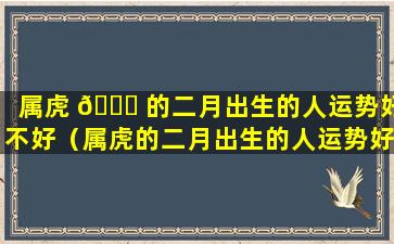 属虎 🐒 的二月出生的人运势好不好（属虎的二月出生的人运势好不好呀）